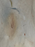 Current 1-10 (24×32cm)